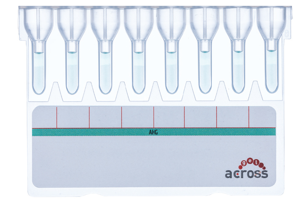 Cartela Across Gel<sup>®</sup> AHG IgG+C3d